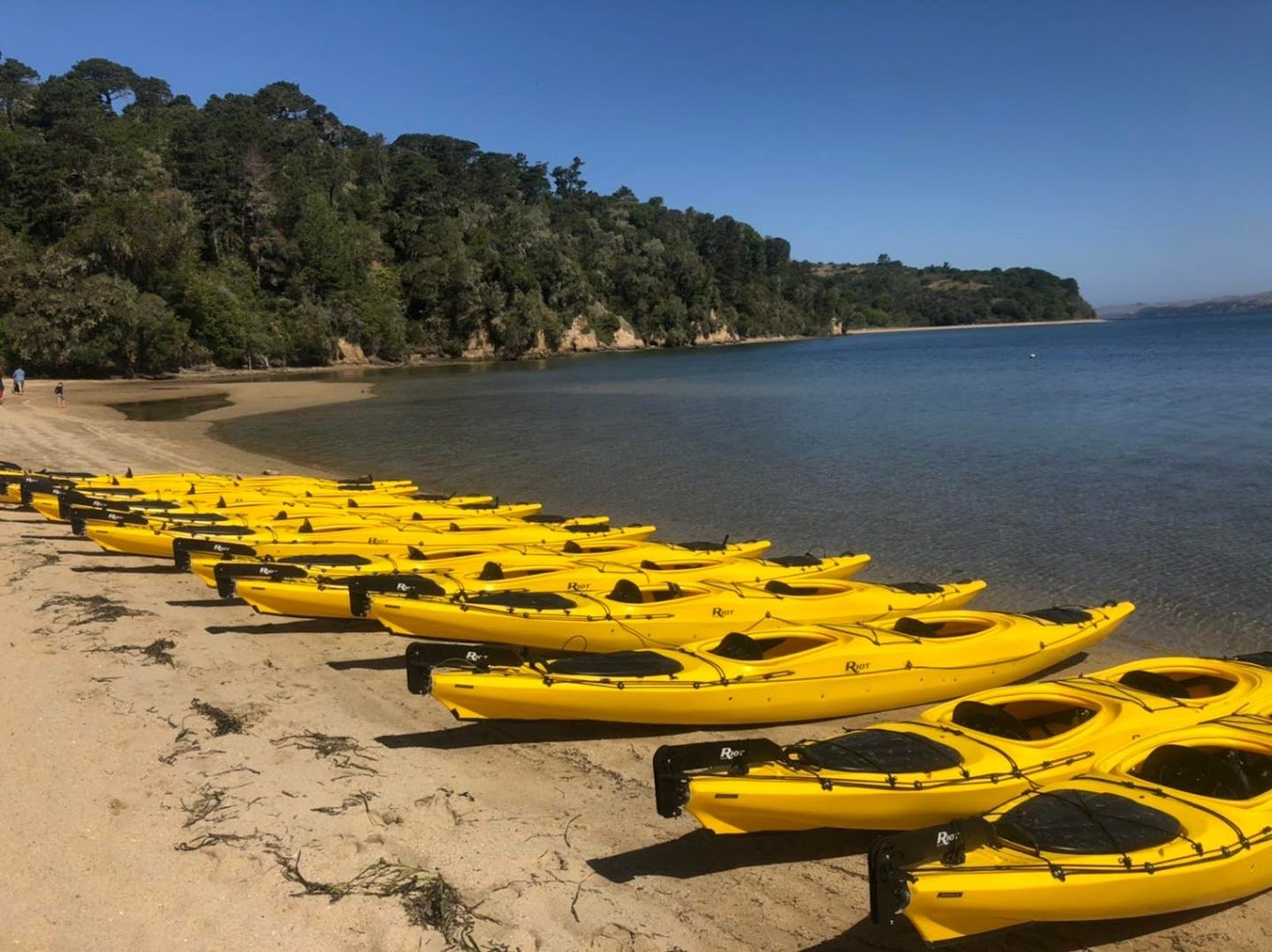 Kayaks On The Beach