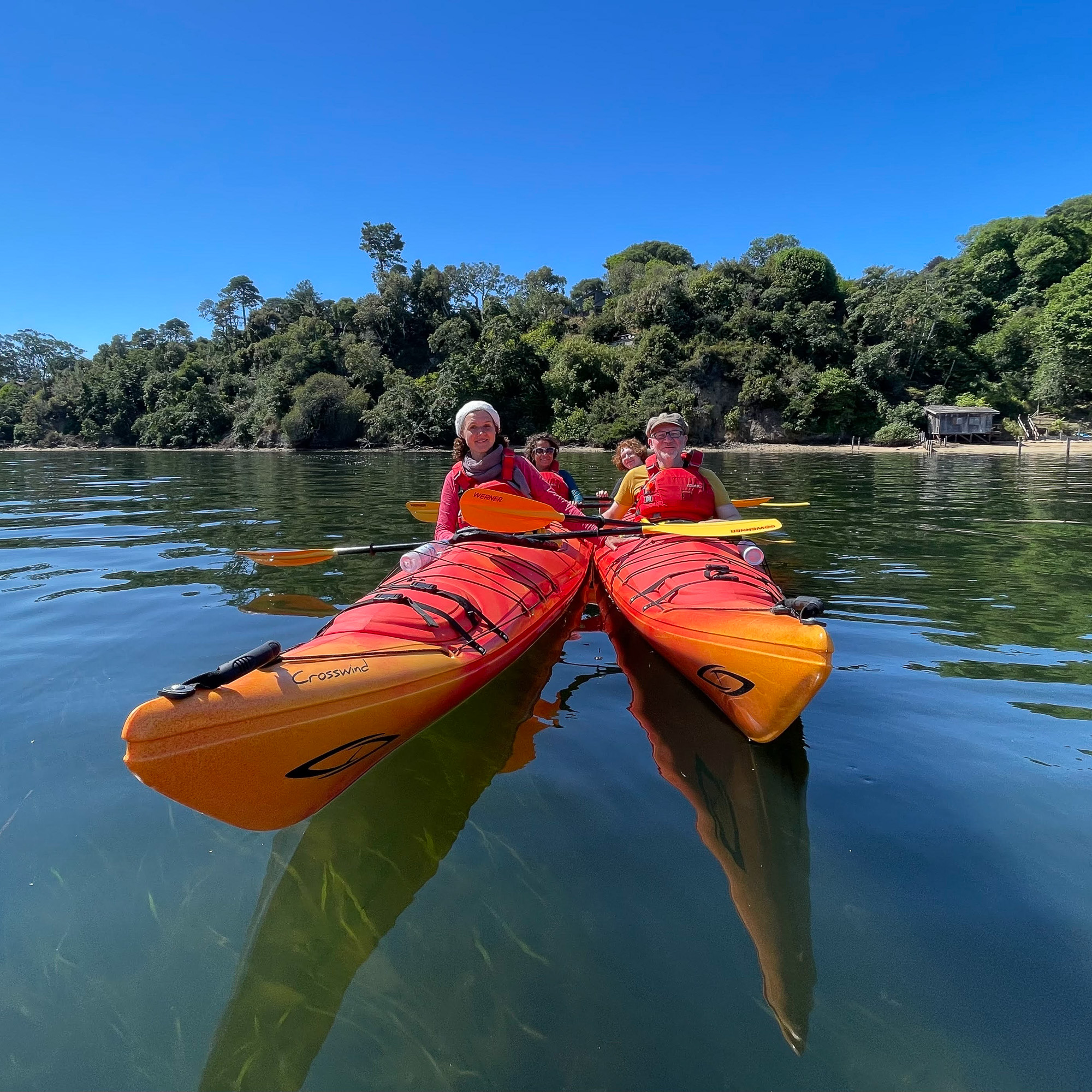 Group kayaking tours in Tomales Bay