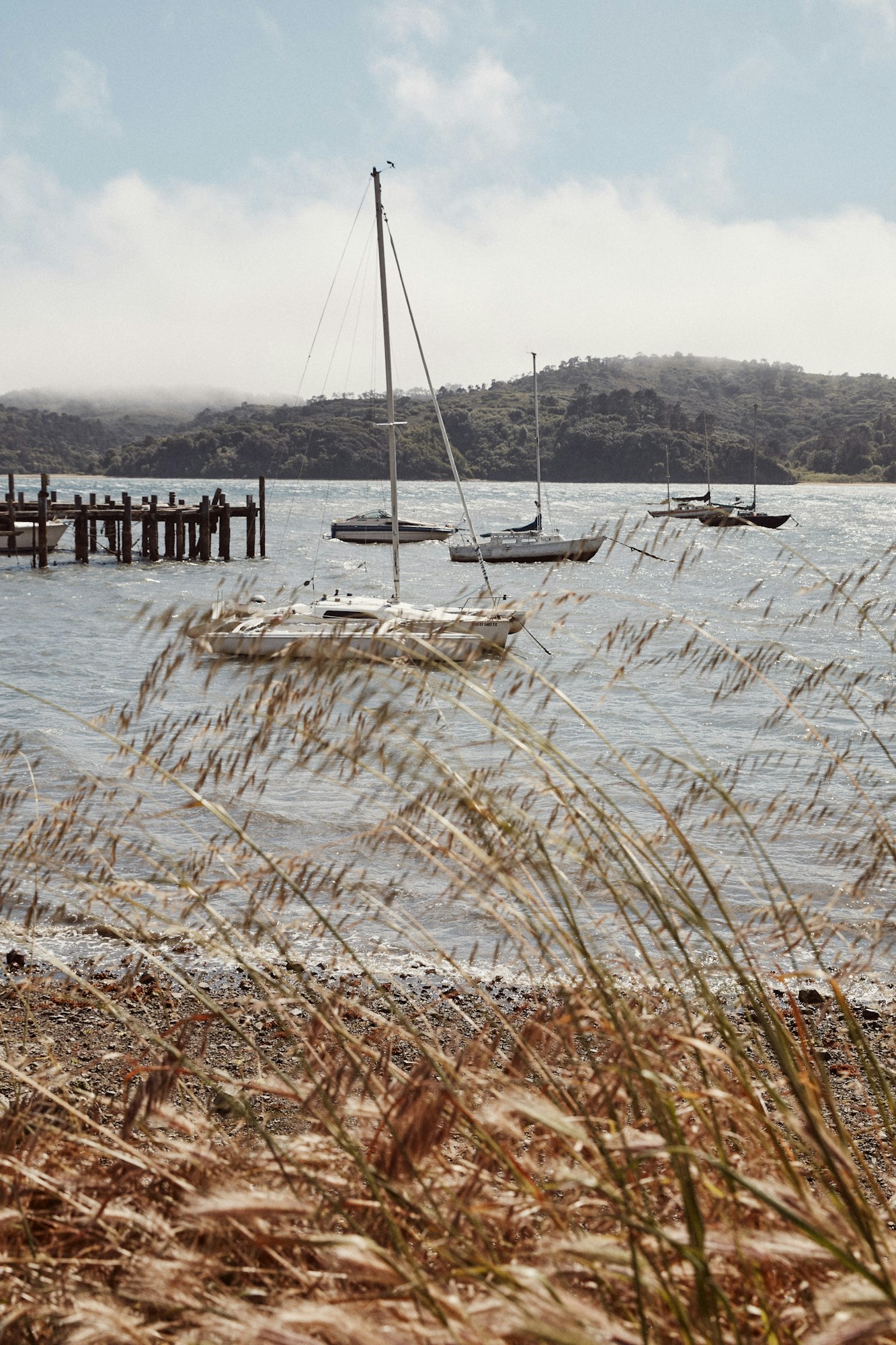 View of fishing boat on Tomales Bay