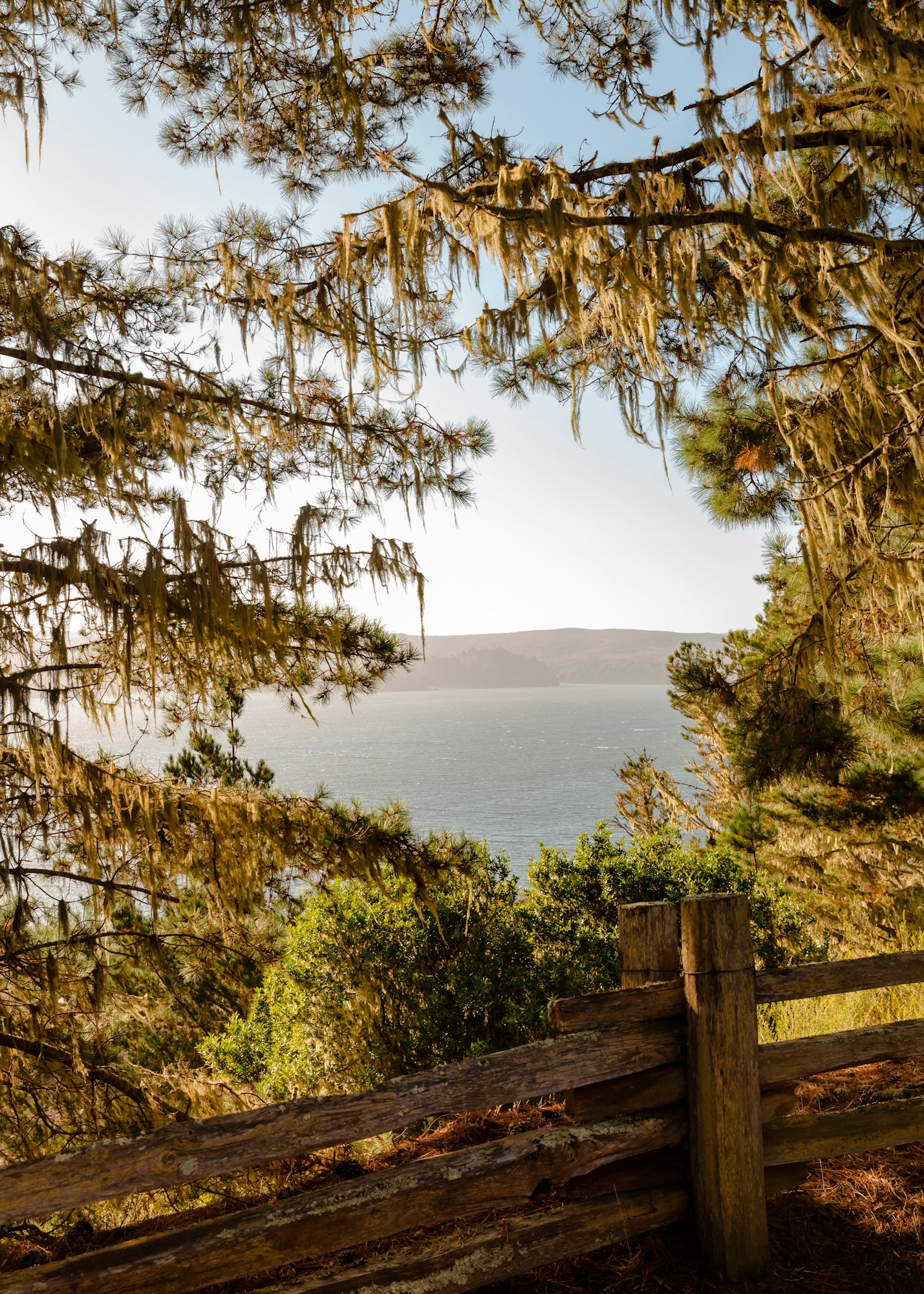 The view of Tomales Bay from Marconi State Historic Park