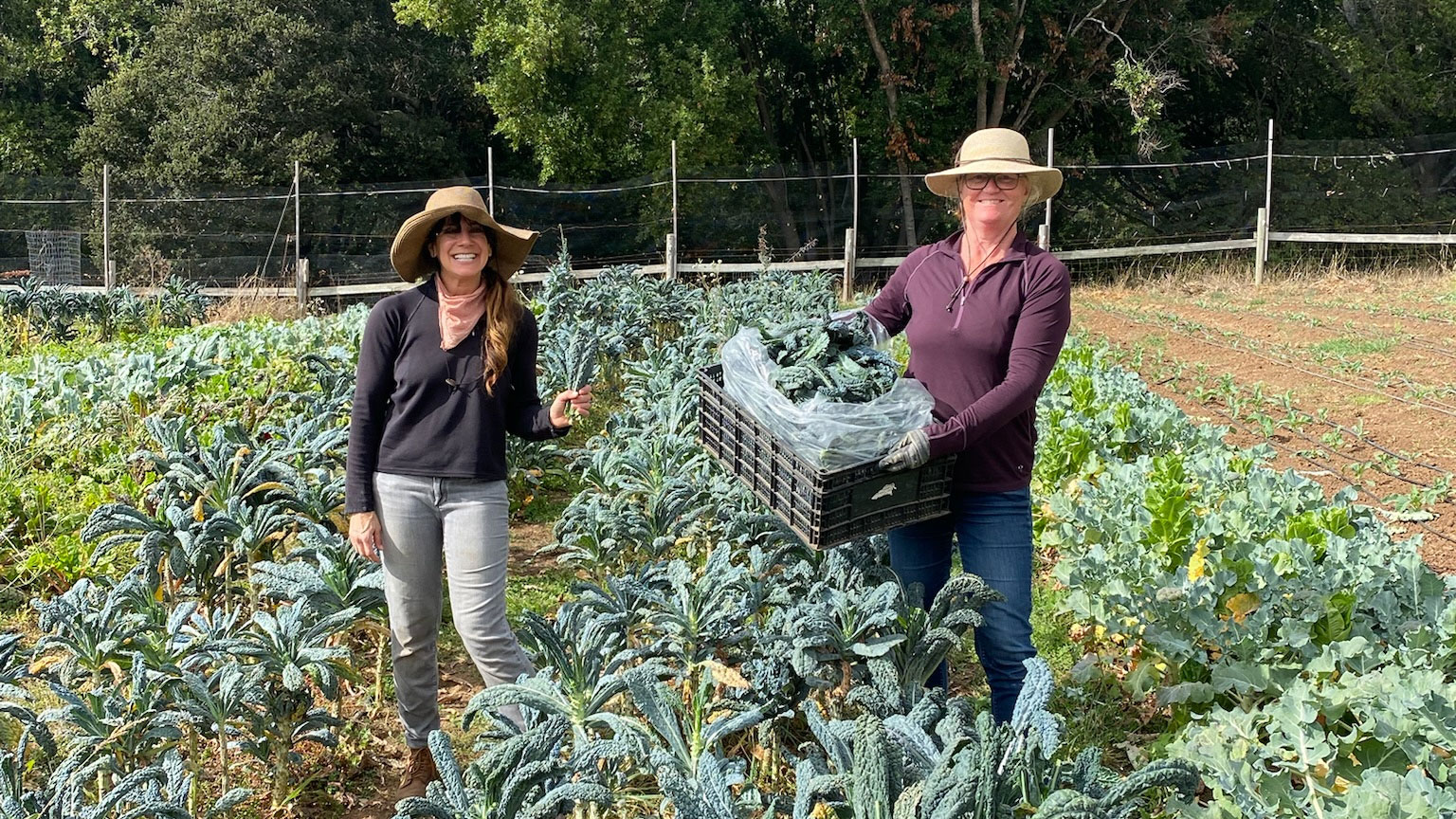 West Marin Food & Farm Tours