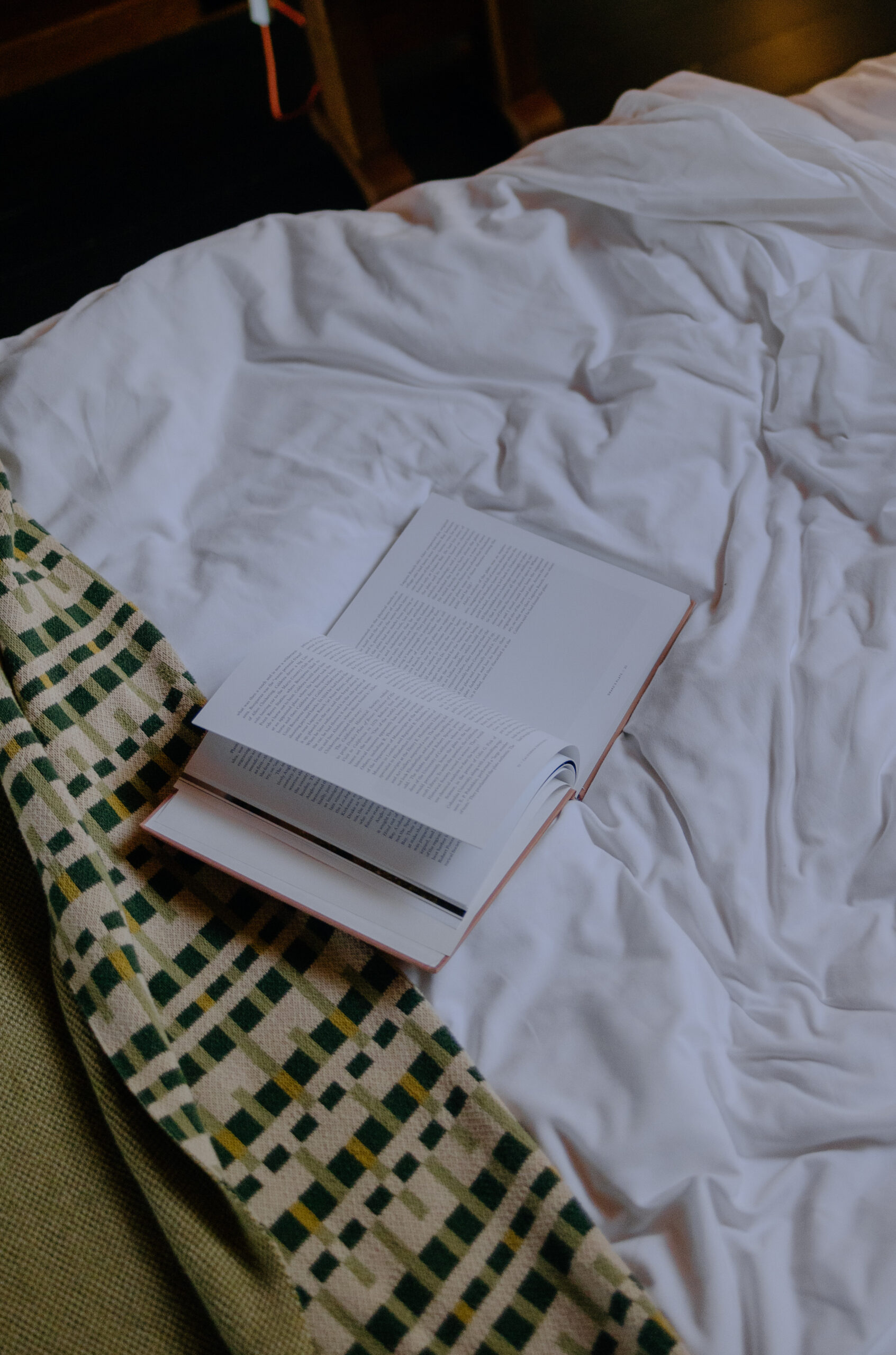 A Frame Cabin (lodge At Marconi)