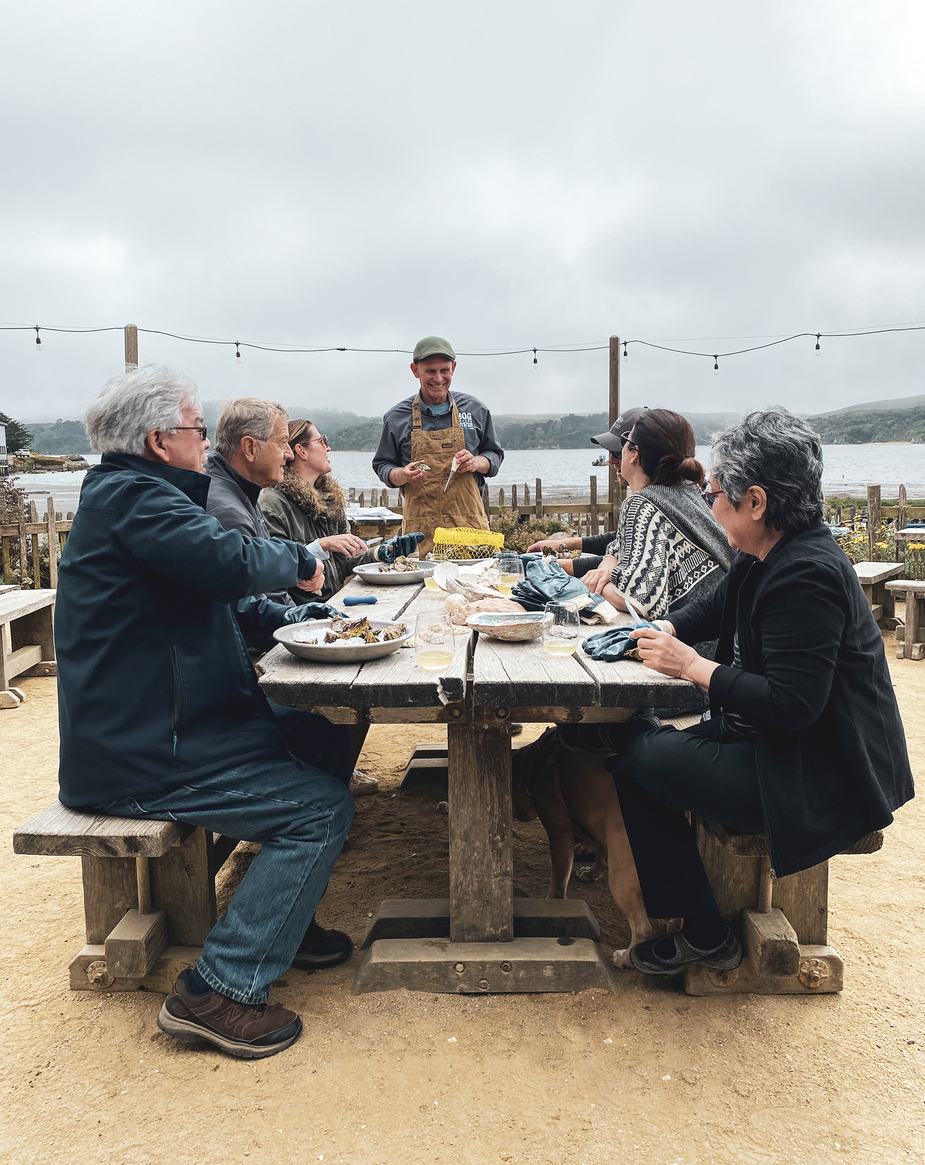Hog Island Oyster Co9