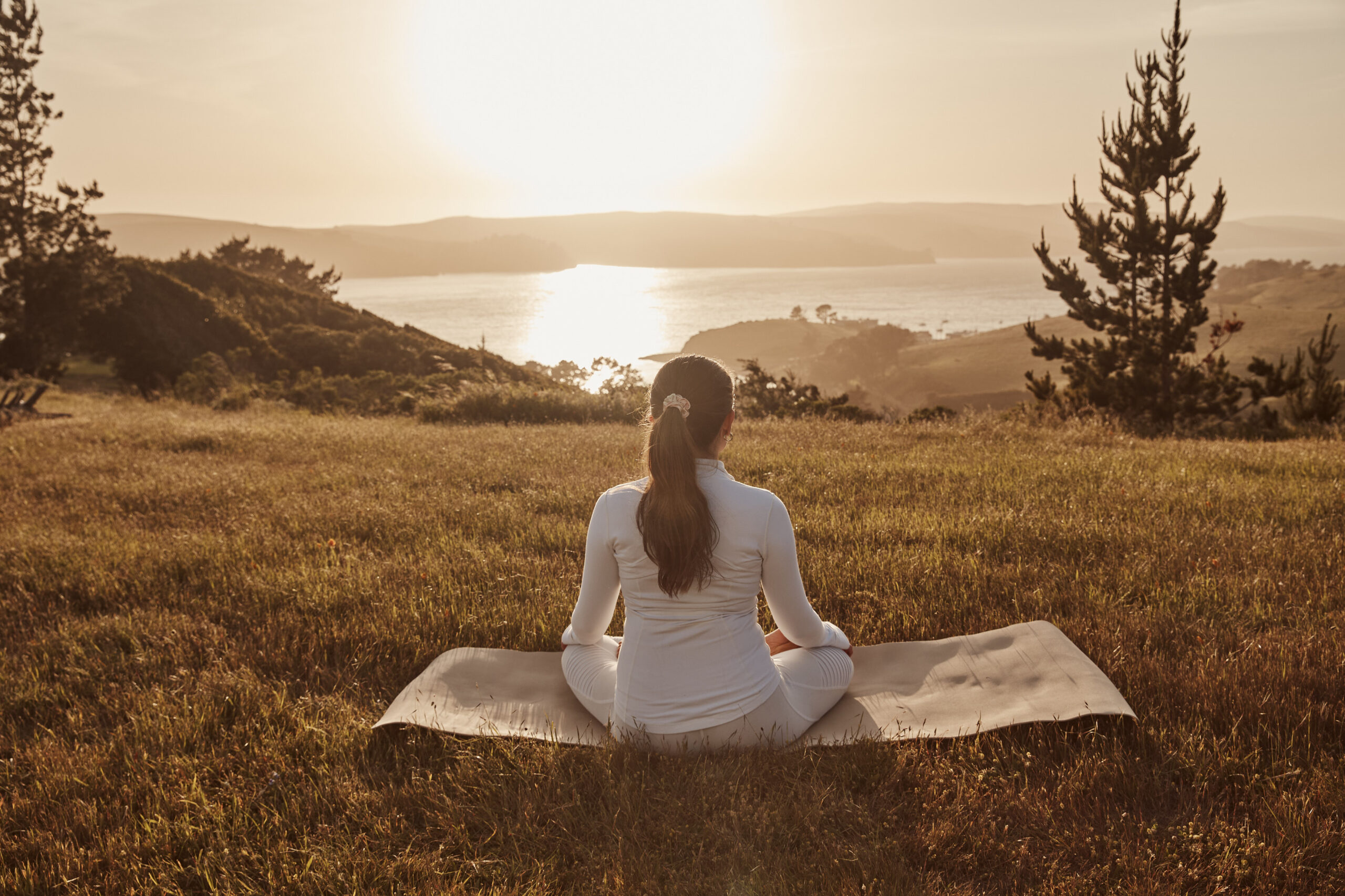 Lam Asher 202405 240430 Lodge At Marconi 12 3854