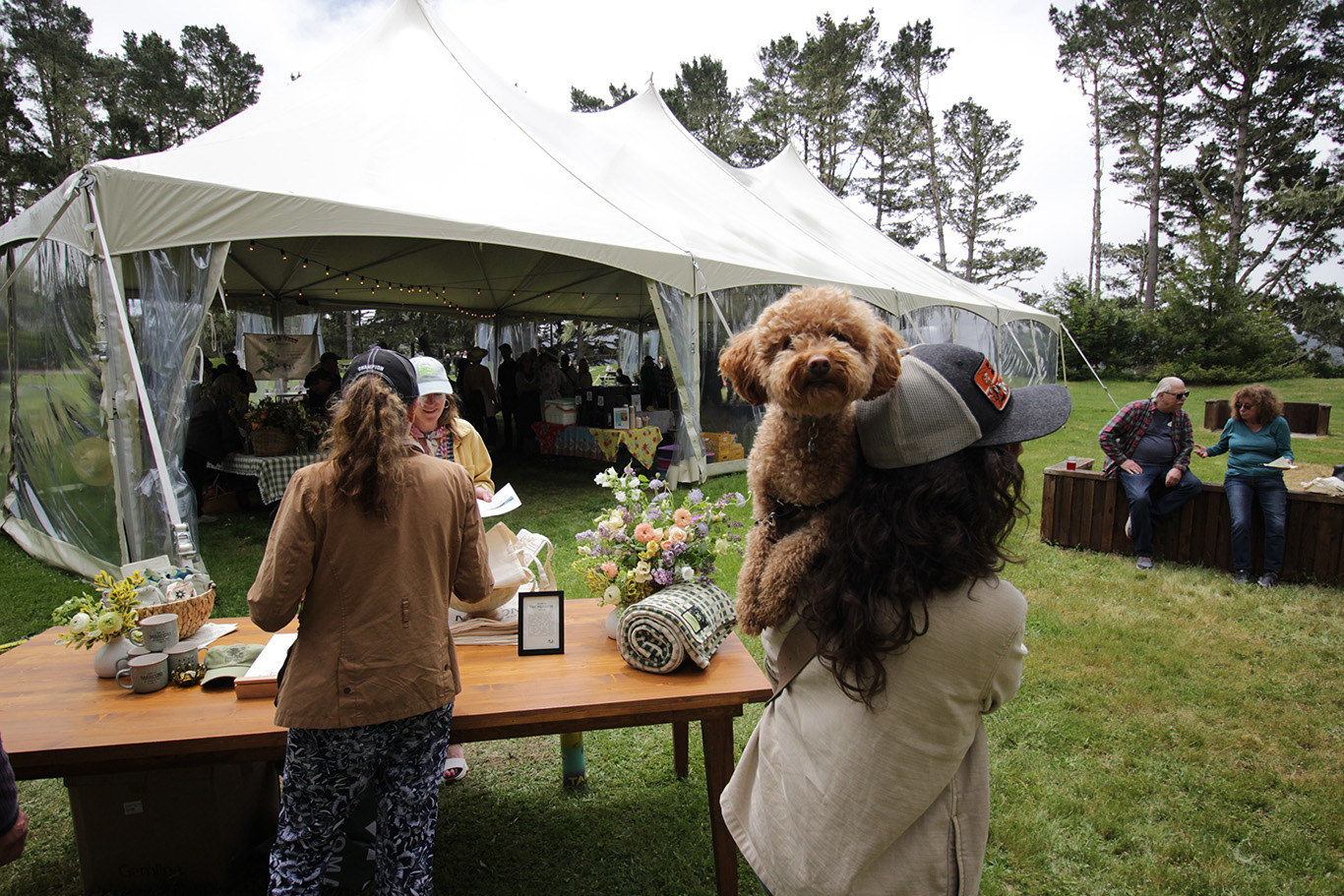 Lam Imd2024 Byrocky Img 3120