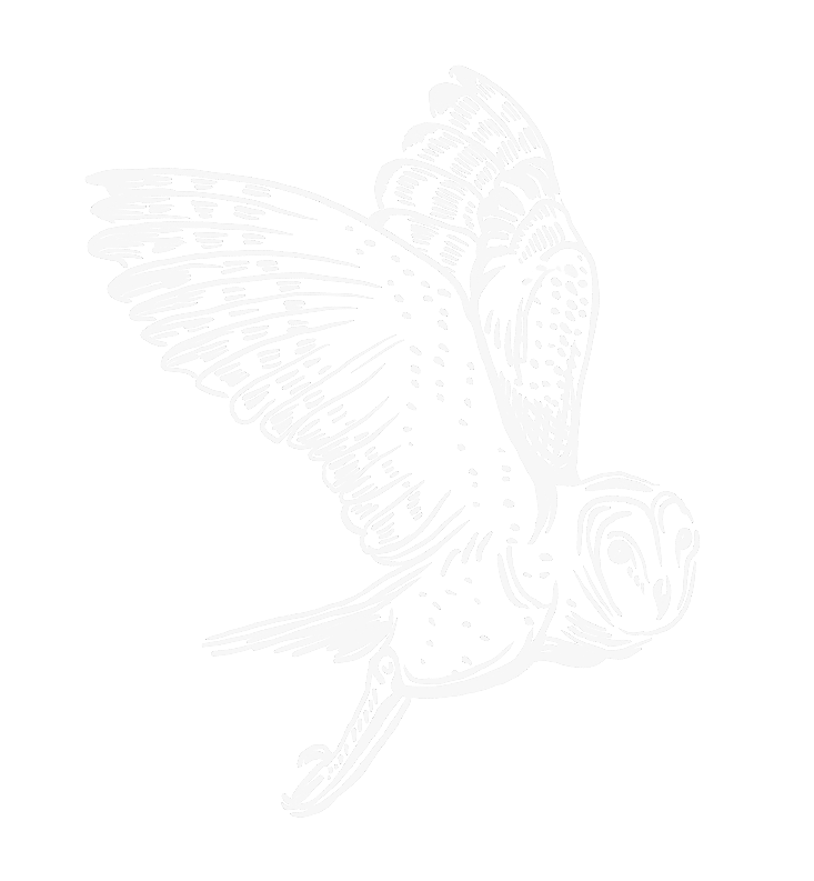 Mar Woodcut Icon Barn Owl