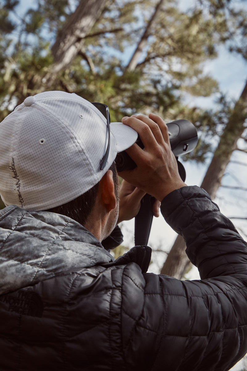 Birding
