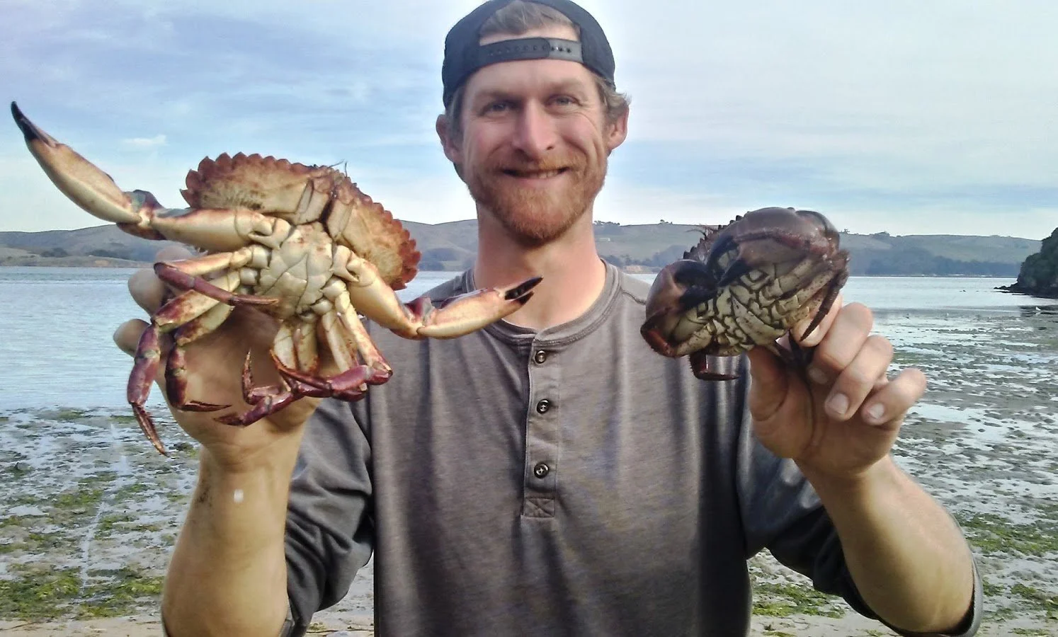 man holding two crabs