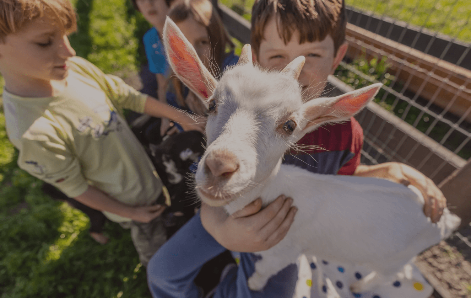 kids holding and petting goat