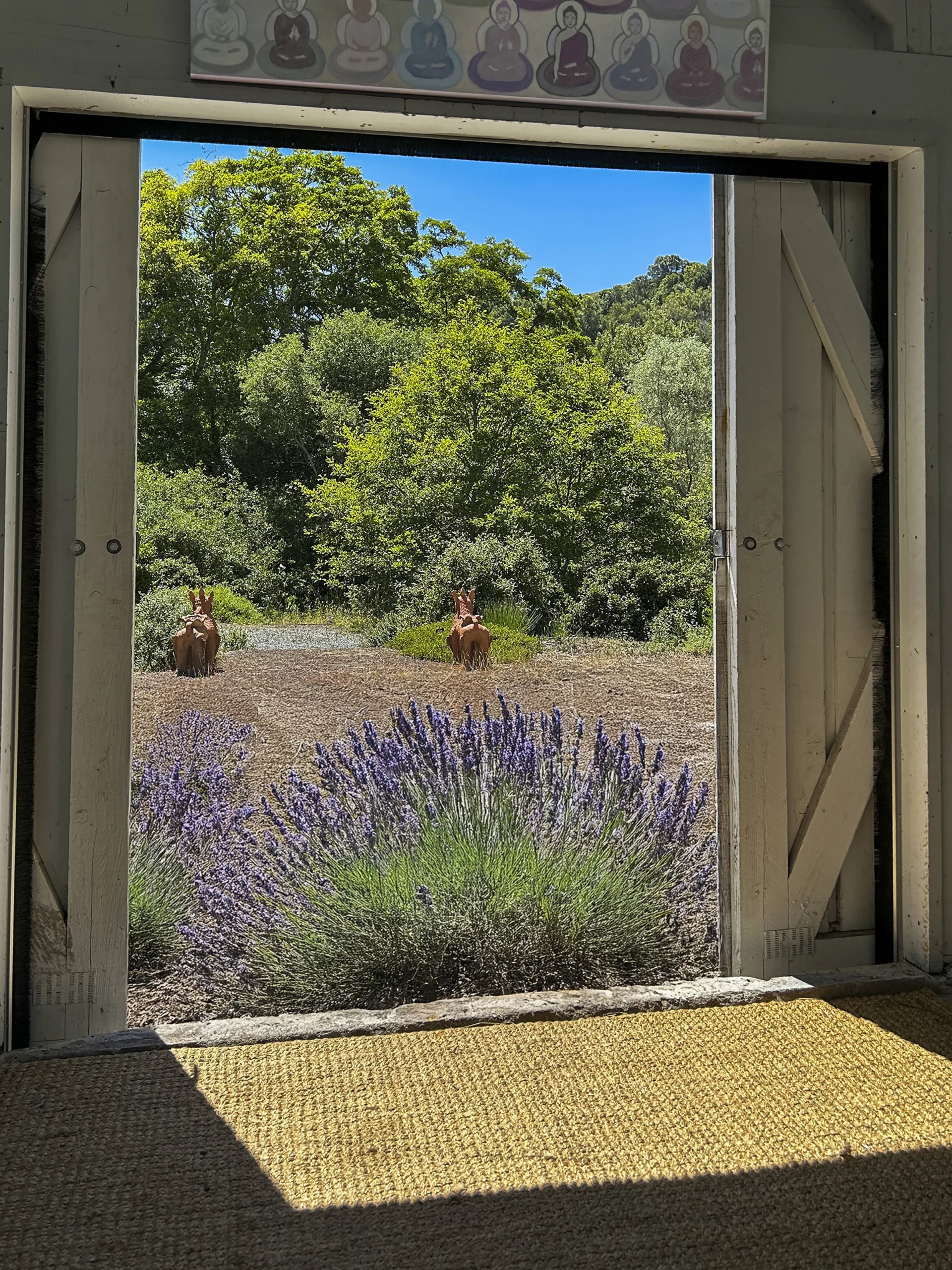 field lavender seen through a doorway
