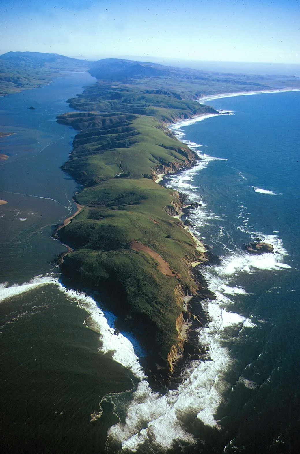 Aerial view of Tomales Point