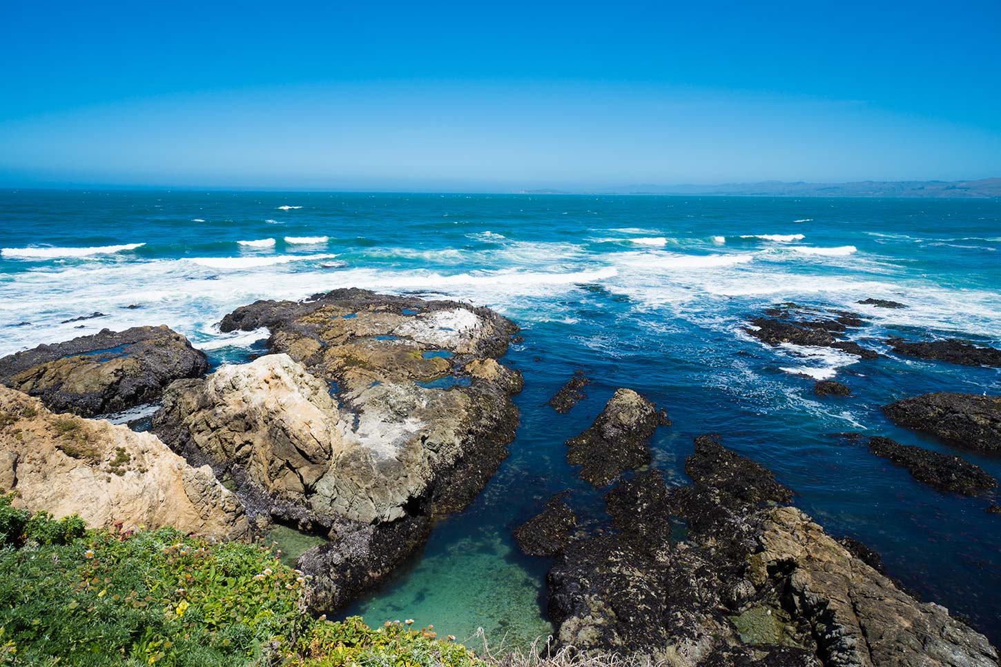 view of ocean from tomales point trail